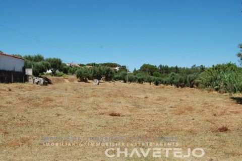 Helårsgrund i Asseiceira, Santarem, Asseiceira - € 75.000 | Ref: 620/18 - foto 8