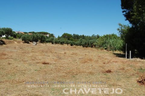 Helårsgrund i Asseiceira, Santarem, Asseiceira - € 75.000 | Ref: 620/18 - foto 9