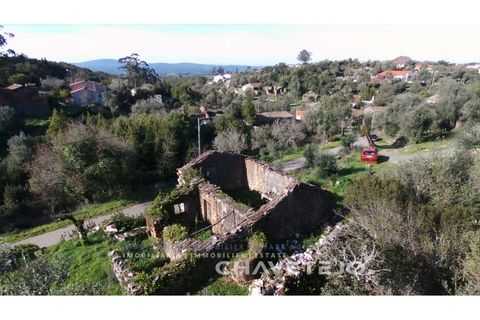 Ruin i Ansiao, Leiria, Ansiao - € 28 000 | Ref: 801/22 - foto 13