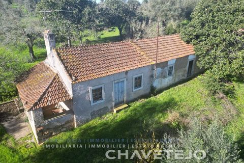 Landejendom i Tomar, Santarem, Tomar - € 250.000 | Ref: 828/19 - foto 1