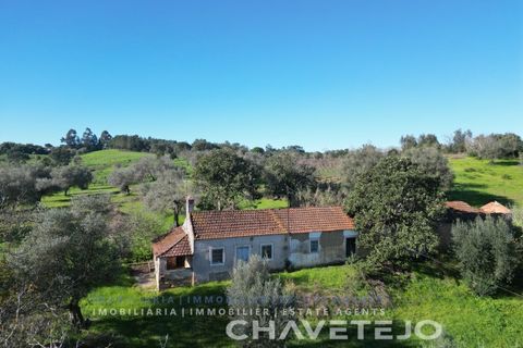 Landejendom i Tomar, Santarem, Tomar - € 250.000 | Ref: 828/19 - foto 3