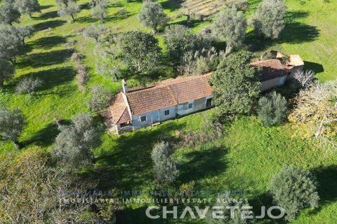 Landejendom i Tomar, Santarem, Tomar - € 250.000 | Ref: 828/19 - foto 5