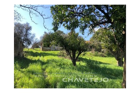 Landejendom i Tomar, Santarem, Tomar - € 250.000 | Ref: 828/19 - foto 7