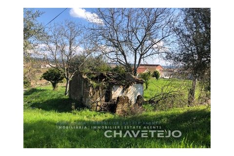 Landejendom i Tomar, Santarem, Tomar - € 250.000 | Ref: 828/19 - foto 9