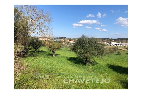 Landejendom i Tomar, Santarem, Tomar - € 250.000 | Ref: 828/19 - foto 10