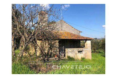 Landejendom i Tomar, Santarem, Tomar - € 250.000 | Ref: 828/19 - foto 20