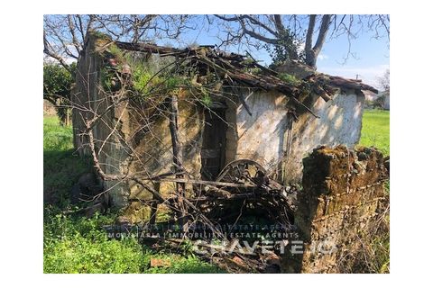 Landejendom i Tomar, Santarem, Tomar - € 250.000 | Ref: 828/19 - foto 21