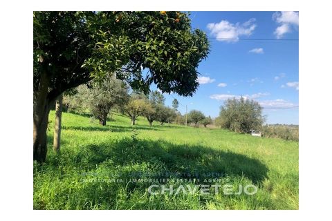 Landejendom i Tomar, Santarem, Tomar - € 250.000 | Ref: 828/19 - foto 22
