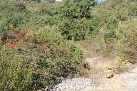 Tomt i Tomar, Santarem, Tomar - € 25 000 | Ref: 618/18 - foto 2