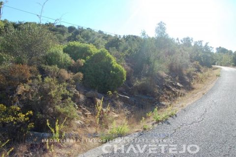 Tomt i Tomar, Santarem, Tomar - € 25 000 | Ref: 618/18 - foto 3