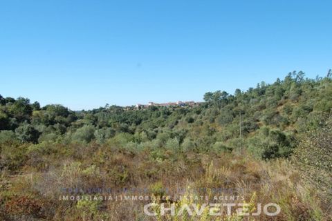 Tomt i Tomar, Santarem, Tomar - € 25 000 | Ref: 618/18 - foto 4