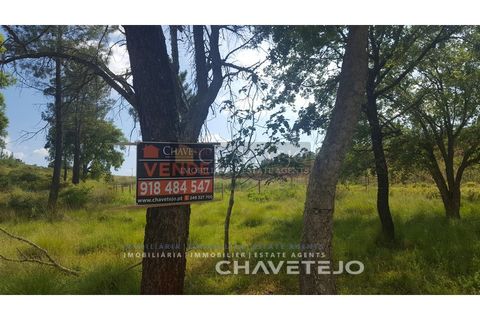 Helårsgrund i Tomar, Santarem, Tomar - € 10.000 | Ref: 611/18 - foto 1