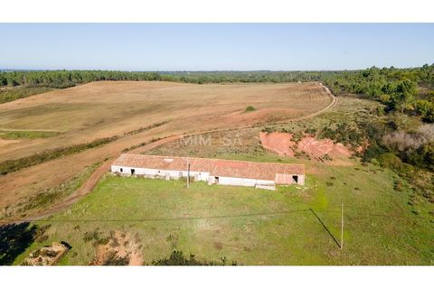 Villa a Aljezur, Faro, Aljezur - € 2.000.000 | Ref: T330-A - foto 11