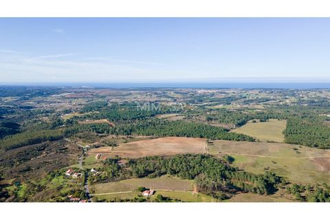 Villa a Aljezur, Faro, Aljezur - € 2.000.000 | Ref: T330-A - foto 15