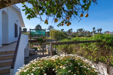 Villa a Aljezur, Faro, Aljezur - € 690.000 | Ref: VM1221 - foto 39