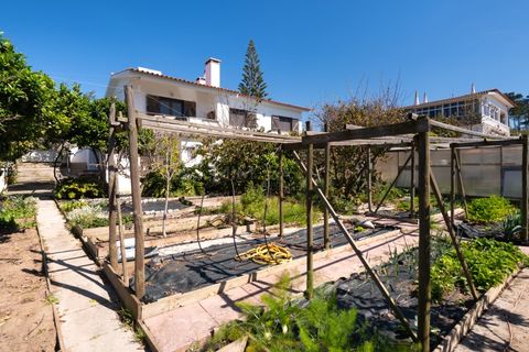 Villa a Aljezur, Faro, Aljezur - € 690.000 | Ref: VM1221 - foto 46