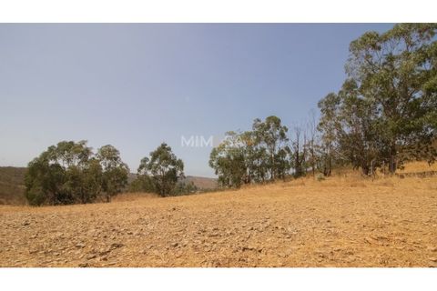 Villa a Bensafrim, Faro, Bensafrim - € 750.000 | Ref: VM1163-A - foto 15