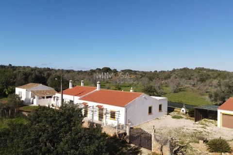 Farm i Bensafrim, Faro, Bensafrim - € 500.000 | Ref: VM1121 - foto 2