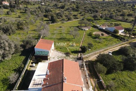 Farm i Bensafrim, Faro, Bensafrim - € 500.000 | Ref: VM1121 - foto 8
