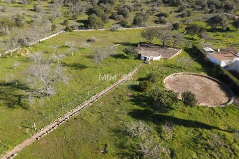 Farm i Bensafrim, Faro, Bensafrim - € 500.000 | Ref: VM1121 - foto 40