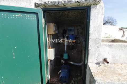 Farm i Bensafrim, Faro, Bensafrim - € 500.000 | Ref: VM1121 - foto 43