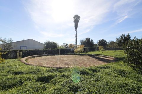 Farm i Bensafrim, Faro, Bensafrim - € 500.000 | Ref: VM1121 - foto 47