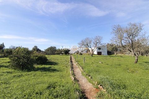 Farm i Bensafrim, Faro, Bensafrim - € 500.000 | Ref: VM1121 - foto 48