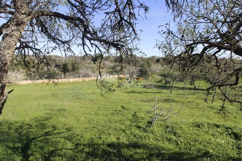 Farm i Bensafrim, Faro, Bensafrim - € 500.000 | Ref: VM1121 - foto 49