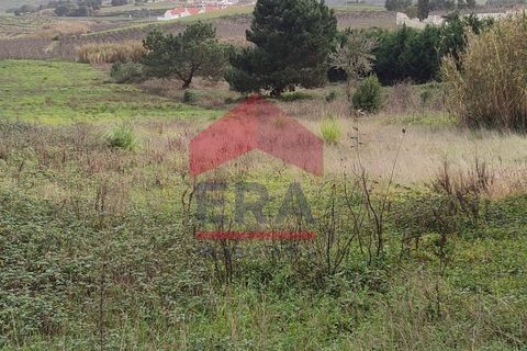 Terra a Bombarral, Leiria, Bombarral - € 150.000 | Ref: 130260007 - foto 3