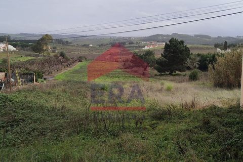 Terra a Bombarral, Leiria, Bombarral - € 150.000 | Ref: 130260007 - foto 4
