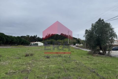 Terra a Bombarral, Leiria, Bombarral - € 95.000 | Ref: 130250277 - foto 2