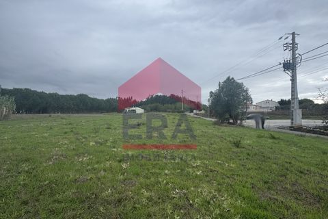 Terra a Bombarral, Leiria, Bombarral - € 95.000 | Ref: 130250277 - foto 3