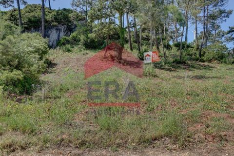 Terra a Bombarral, Leiria, Bombarral - € 362.000 | Ref: 130240115 - foto 2