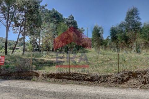 Terra a Bombarral, Leiria, Bombarral - € 362.000 | Ref: 130240115 - foto 8