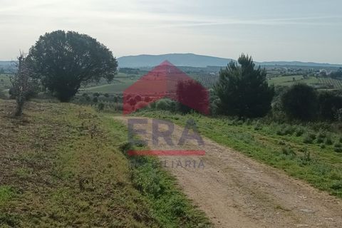 Terra a Bombarral, Leiria, Bombarral - € 1.280.000 | Ref: 130230068 - foto 5