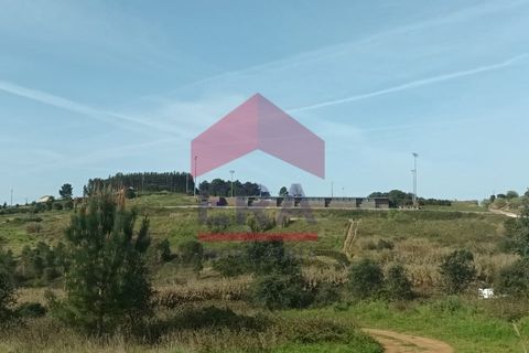 Terra a Bombarral, Leiria, Bombarral - € 1.280.000 | Ref: 130230068 - foto 8
