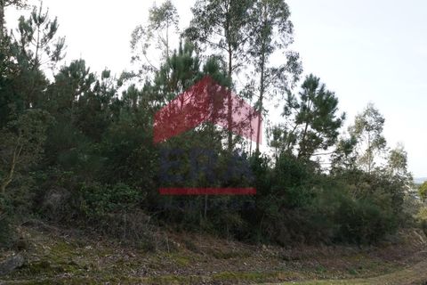 Terra a Bombarral, Leiria, Bombarral - € 18.000 | Ref: 130220065 - foto 2