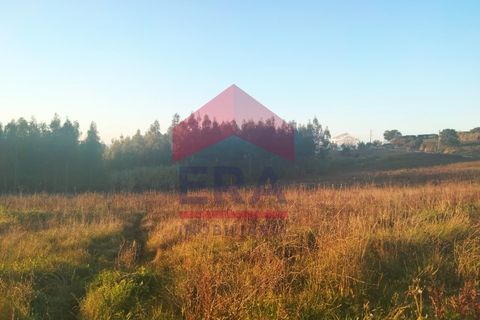 Terra a Bombarral, Leiria, Bombarral - € 75.000 | Ref: 130230027 - foto 3