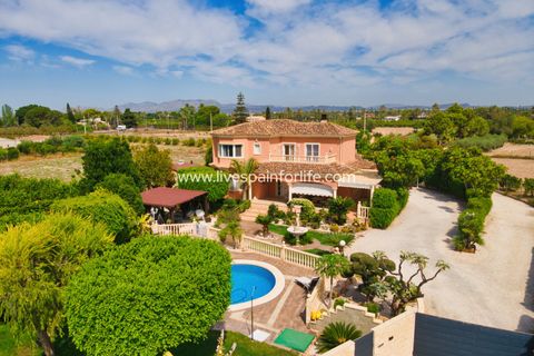 Landejendom i Elche, Alicante, Elche - € 799.000 | Ref: Elx MJ - foto 3