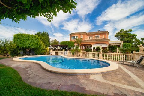 Landejendom i Elche, Alicante, Elche - € 799.000 | Ref: Elx MJ - foto 4