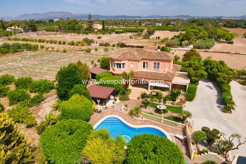 Landejendom i Elche, Alicante, Elche - € 799.000 | Ref: Elx MJ - foto 42
