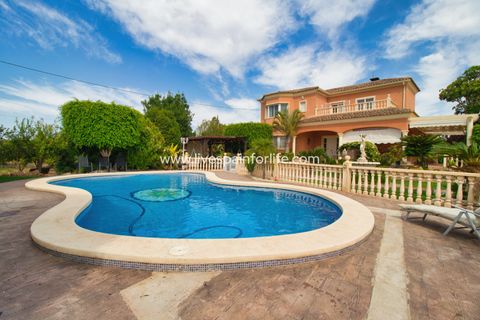 Landejendom i Elche, Alicante, Elche - € 799.000 | Ref: Elx MJ - foto 43