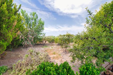 Landejendom i Elche, Alicante, Elche - € 799.000 | Ref: Elx MJ - foto 47