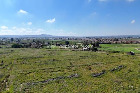 Landejendom i Dolores, Alicante, Dolores - € 375.000 | Ref: DOL CM-D - foto 26