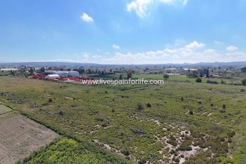 Landejendom i Dolores, Alicante, Dolores - € 375.000 | Ref: DOL CM-D - foto 27
