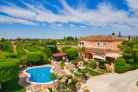 Landejendom i Elche, Alicante, Elche - € 799.000 | Ref: Elx MJ-D - foto 2