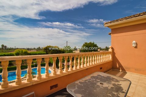 Landejendom i Elche, Alicante, Elche - € 799.000 | Ref: Elx MJ-D - foto 36