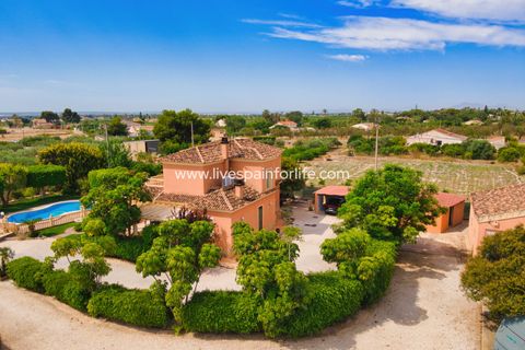 Landejendom i Elche, Alicante, Elche - € 799.000 | Ref: Elx MJ-D - foto 41