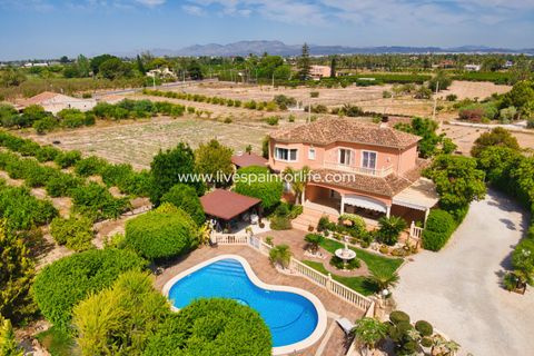 Landejendom i Elche, Alicante, Elche - € 799.000 | Ref: Elx MJ-D - foto 44