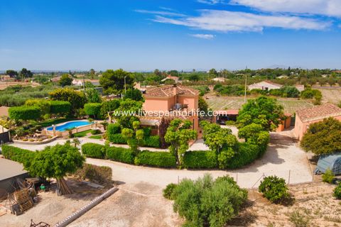 Landejendom i Elche, Alicante, Elche - € 799.000 | Ref: Elx MJ-D - foto 45